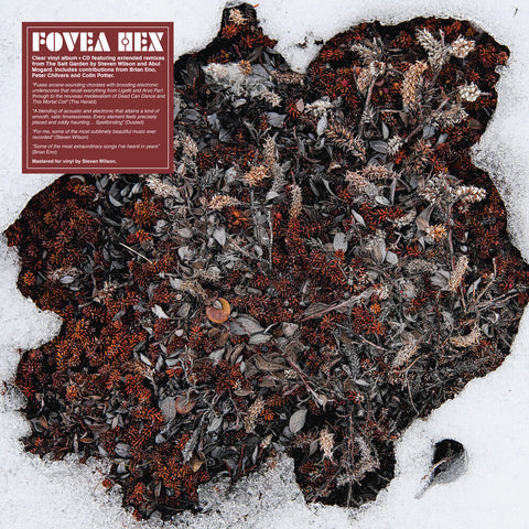 Fovea Hex - Salt Garden (Clear Vinyl) (W/Cd) [Clear Vinyl]