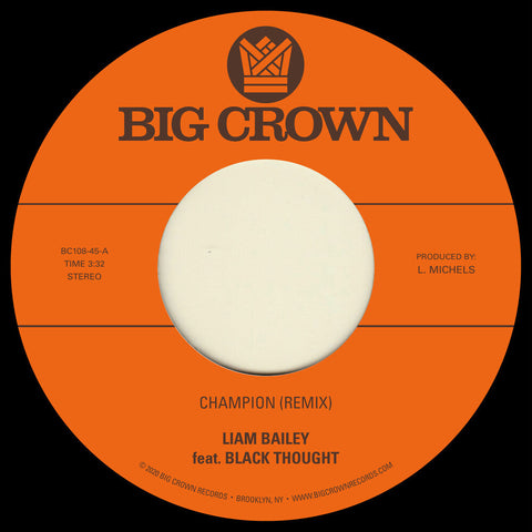 Liam Bailey - Champion (Remix) / Ugly Truth (Remix) [7" Vinyl]