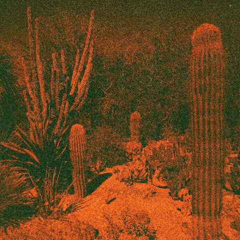 Cameron Knowler  / Winter,Eli - Anticipation [Colored Vinyl] (Purp) [Indie Exclusive]