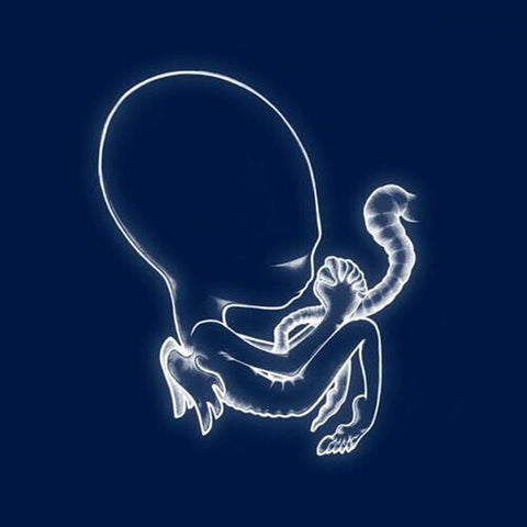 Sigur Ros - Agaetis Byrjun (Vinyl LP)