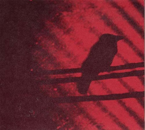Silver Mt. Zion - Born Into Trouble As the Sparks Fly Upward [LP]