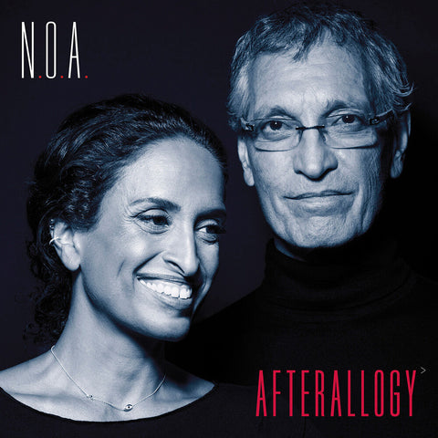Noa / Dor - Afterallogy [LP]