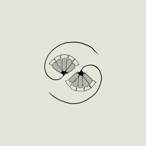Godspeed You! Black Emperor - G_D's Pee At State's End! [180 gram LP + 10in]