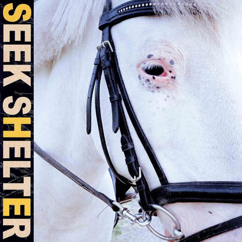 Iceage - Seek Shelter [LP]