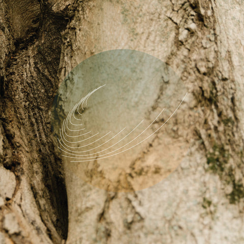 Field Works - Maples Ash & Oaks: Cedars Instrumentals [LP]
