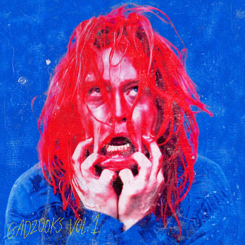 Caleb Landry Jones - Gadzooks Vol. 1 [LP]