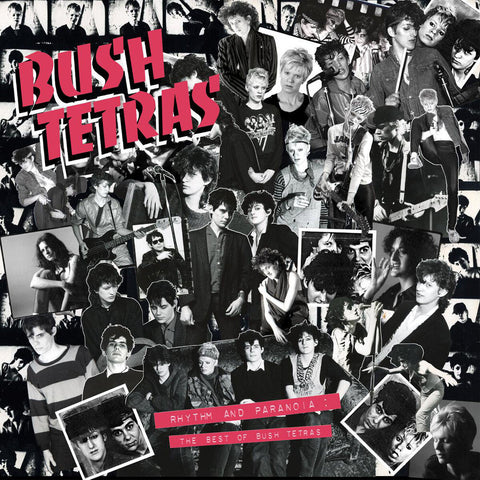 Bush Tetras - Rhythm & Paranoia: The Best Of Bush Tetras [LP]