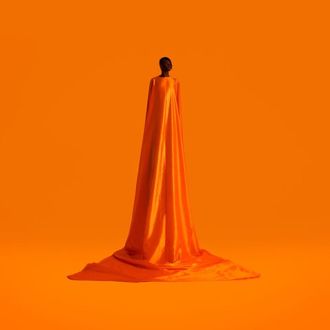 Wayne Snow - Figurine (Uk) [LP]