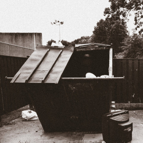 Doppelgangaz - Dumpster Dive [LP]