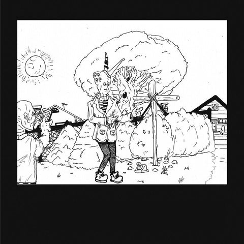 Teen Suicide - It's The Big Joyous Celebration (Blk) [Colored Vinyl] (Wht)