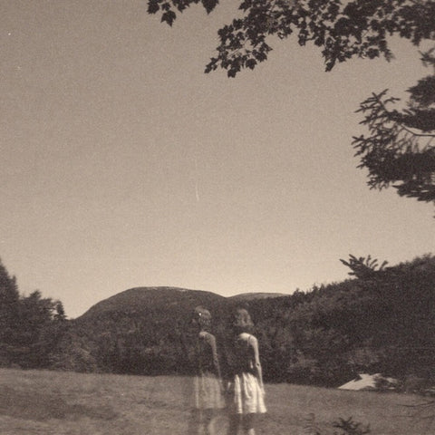 Goldmund - Malady Of Elegance [LP]