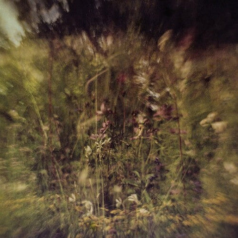 Pluralone - Across The Park B/W Sevens [Vinyl Single]