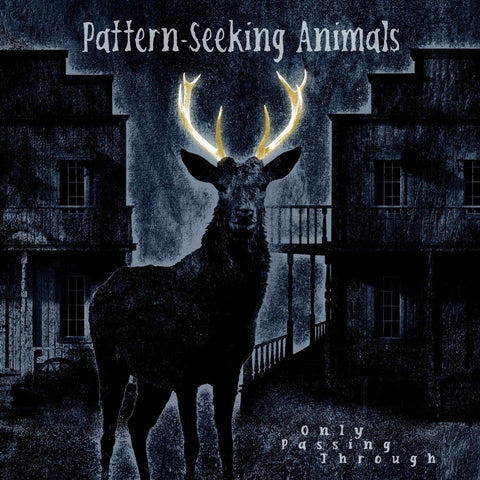 Pattern-Seeking Animals - Only Passing Through [2LP/CD]