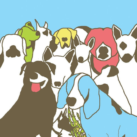 The Format - Dog Problems [Indie Exclusive]