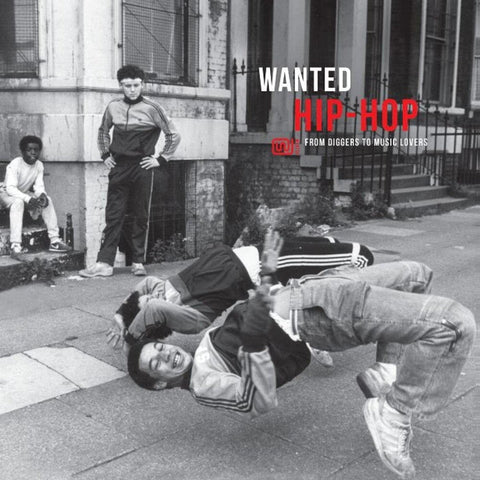 Various Artists - Wanted Hip-Hop / Various [LP]
