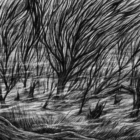 Bismuth - The Eternal Marshes [LP]