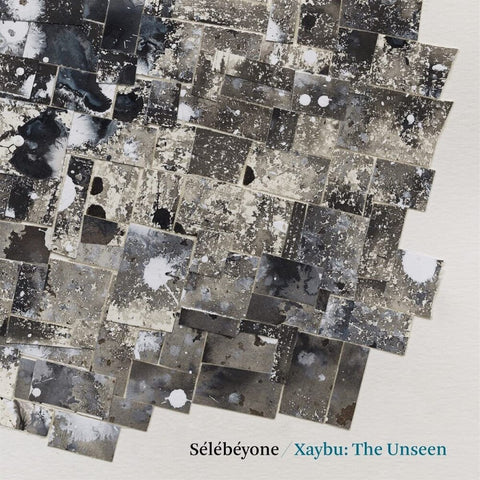 Steve Lehman - Xaybu: The Unseen [LP]