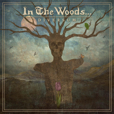 In the Woods... - DIVERSUM [LP]