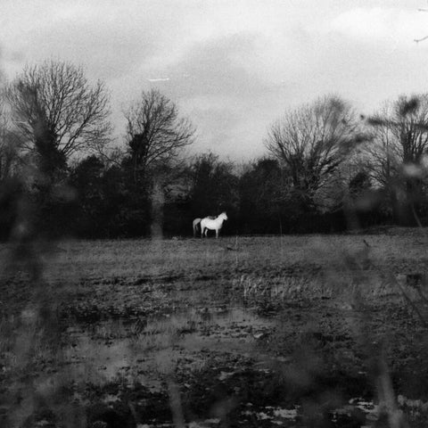 Flatsound - When You Run Away, Do You Close Your Eyes (Blk) [LP]