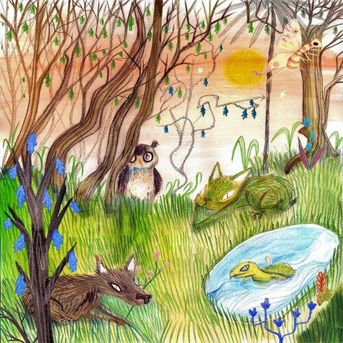Cavetown - Animal Kingdom (Vinyl LP)