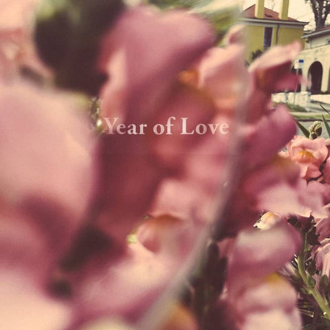 Beta Radio - Year Of Love [LP]