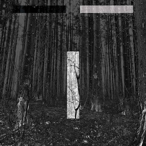 Chris Liebing - Another Day [LP]
