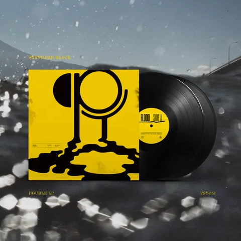 Hippo Campus - Flood (Double Vinyl)
