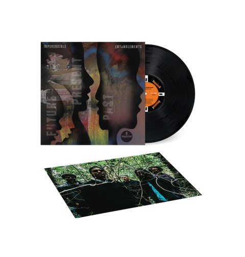 Irreversible Entanglements - Future Present Past [LP + Poster]