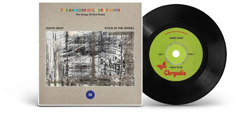 David Gray - Endless Coloured Ways: The Songs Of Nick Drake [7" Vinyl]