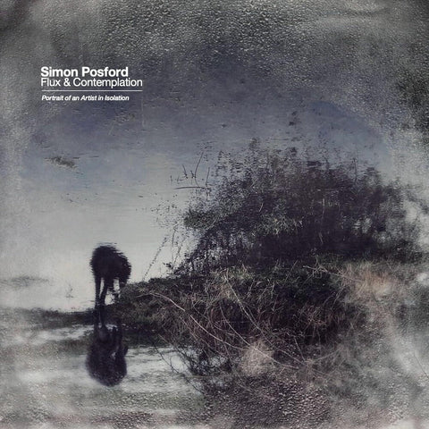 Simon Posford - Flux & Contemplation: Portrait Of An Artist In Isolation [2 LP]