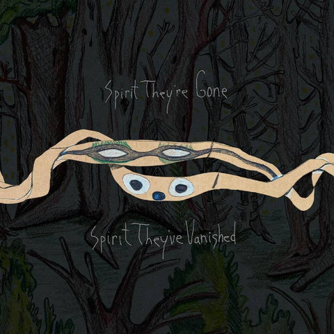 Animal Collective - Spirit They're Gone, Spirit They've Vanished: Remastered 2023 [2LP]