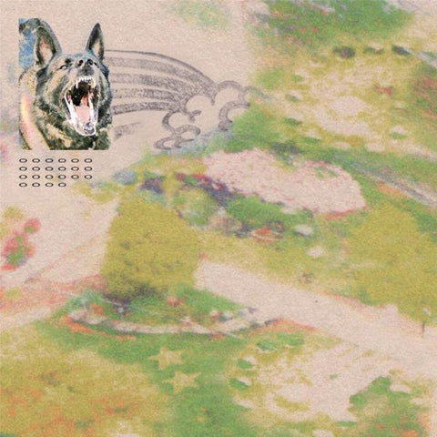 feeble little horse - Girl with Fish [Opaque Pink LP]
