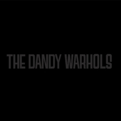 The Dandy Warhols - Black Album [LP]