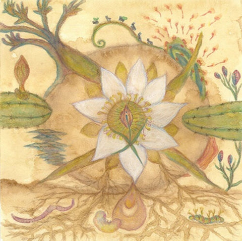 Markandeya - Vision Versions: Joaquin Cornejo Meets Markandeya [LP]