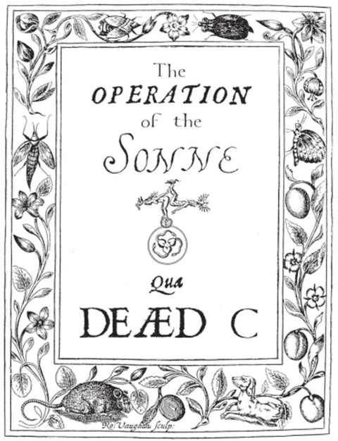 Dead C - Operation Of The Sonne [LP]