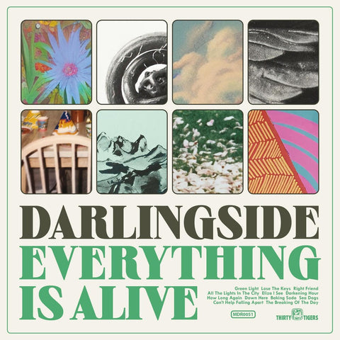 Darlingside - Everything Is Alive [LP]