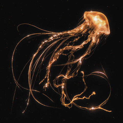 Royal Blood - Back To The Water Below (Vinyl LP)