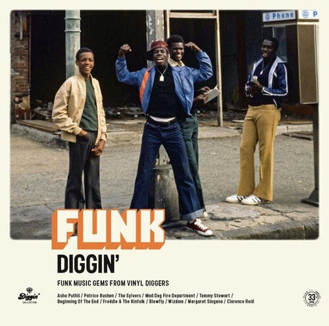 Various Artists - Funk Diggin / Various (Vinyl LP)