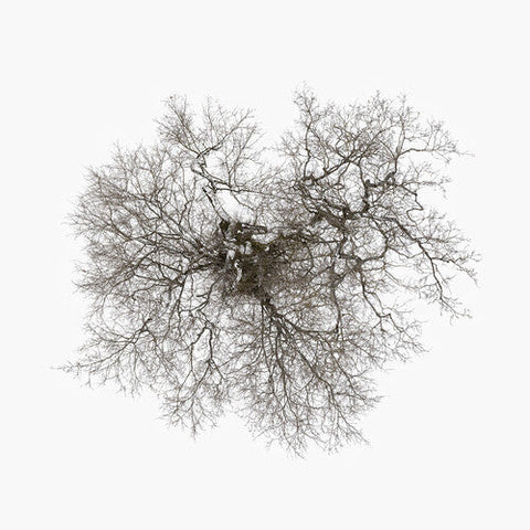 John Metcalfe - Tree (Vinyl LP)