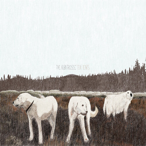 Foxing - The Albatross: Ten Years (Vinyl LP)