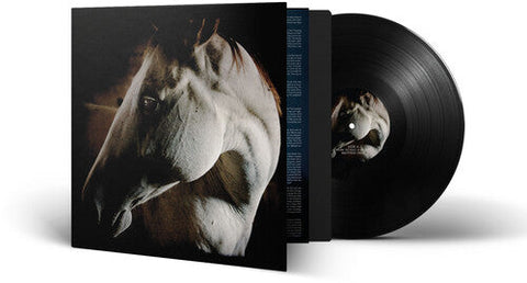 Brother Dege - How To Kill A Horse (Vinyl LP)