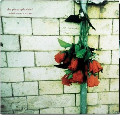 Pineapple Thief - Variations On A Dream (Vinyl LP)