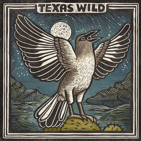 Texas Wild / Various - Texas Wild / Various [LP]