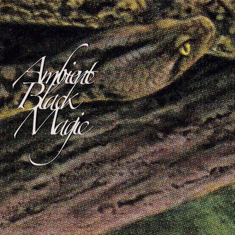 Rainforest Spiritual Enslavement - Ambient Black Magic [LP]