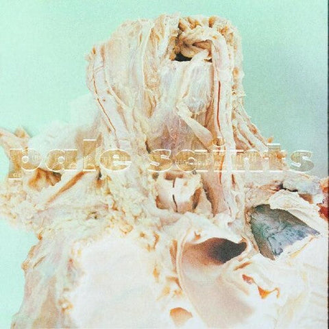 Pale Saints - In Ribbons (Vinyl LP)