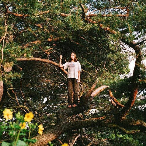 Packs - Melt The Honey (Vinyl LP)