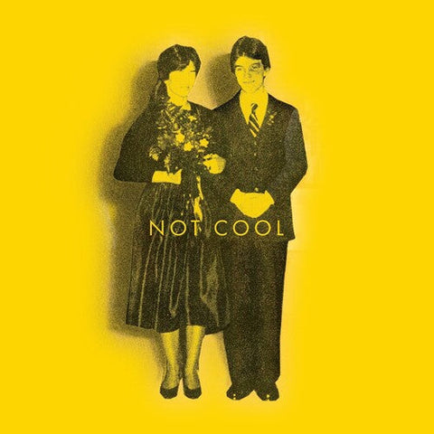 Tim Easton - Not Cool (Vinyl LP)