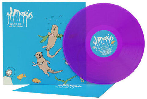 J Mascis - What Do We Do Now (Vinyl LP)