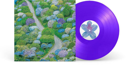Fiddlehead - Between The Richness [Colored Vinyl] (Viol) (Can)