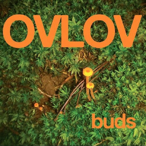 Ovlov - Buds (Vinyl LP)